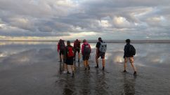 Wadlopen in Pieterburen