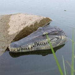 Radiografische krokodil