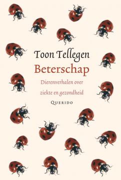 Boek: Beterschap