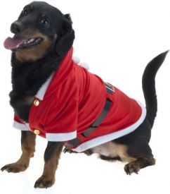 Kerstkostuum voor hond