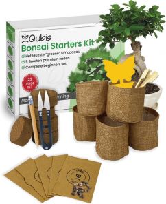 Bonsai boom starterskit