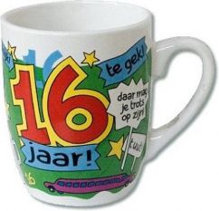 Cartoonmok 16 jaar