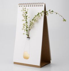 Flip vase