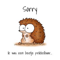 Sorry kaartje