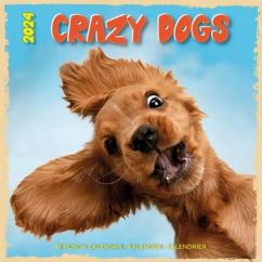 Crazy dogs kalender