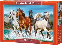 Paardenpuzzel