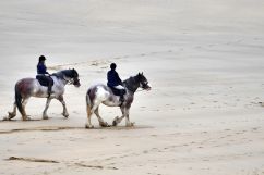 Paardrijden op het strand